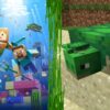 Minecraft: Cách nuôi Rùa ăn gì, tìm ở đâu?
